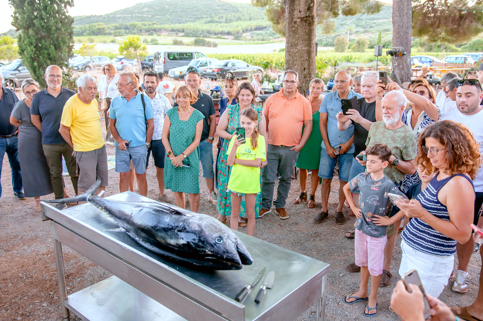260703_un_chef_dans_les_vignes_molina28