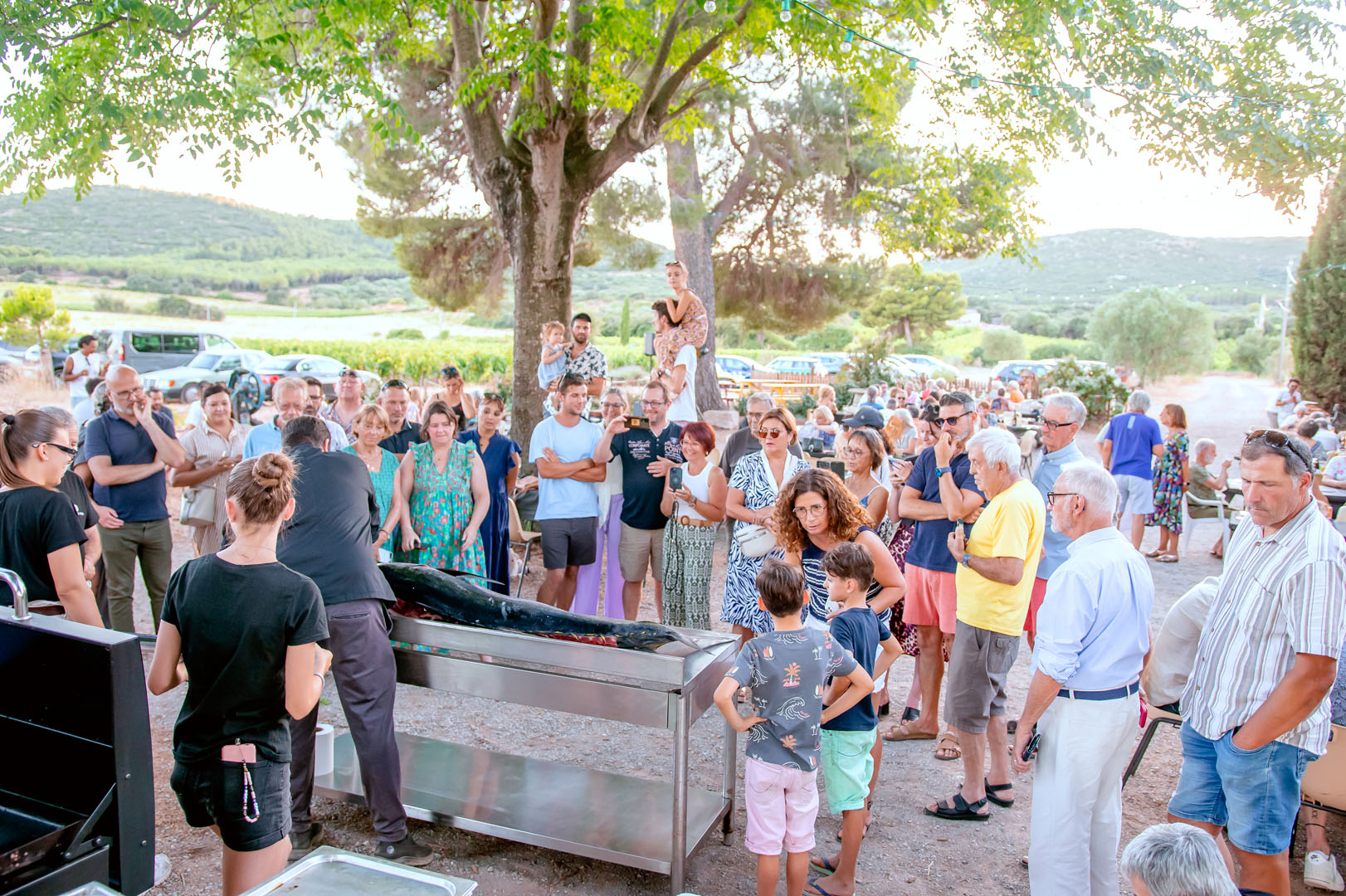 260703_un_chef_dans_les_vignes_molina36