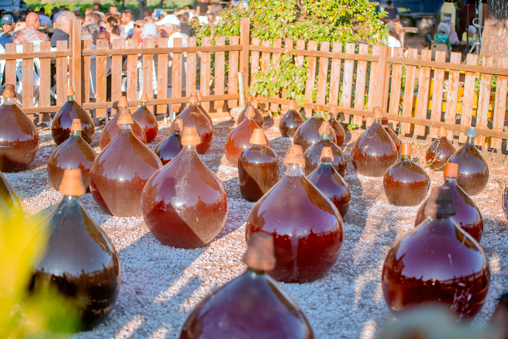 260703_un_chef_dans_les_vignes_molina4