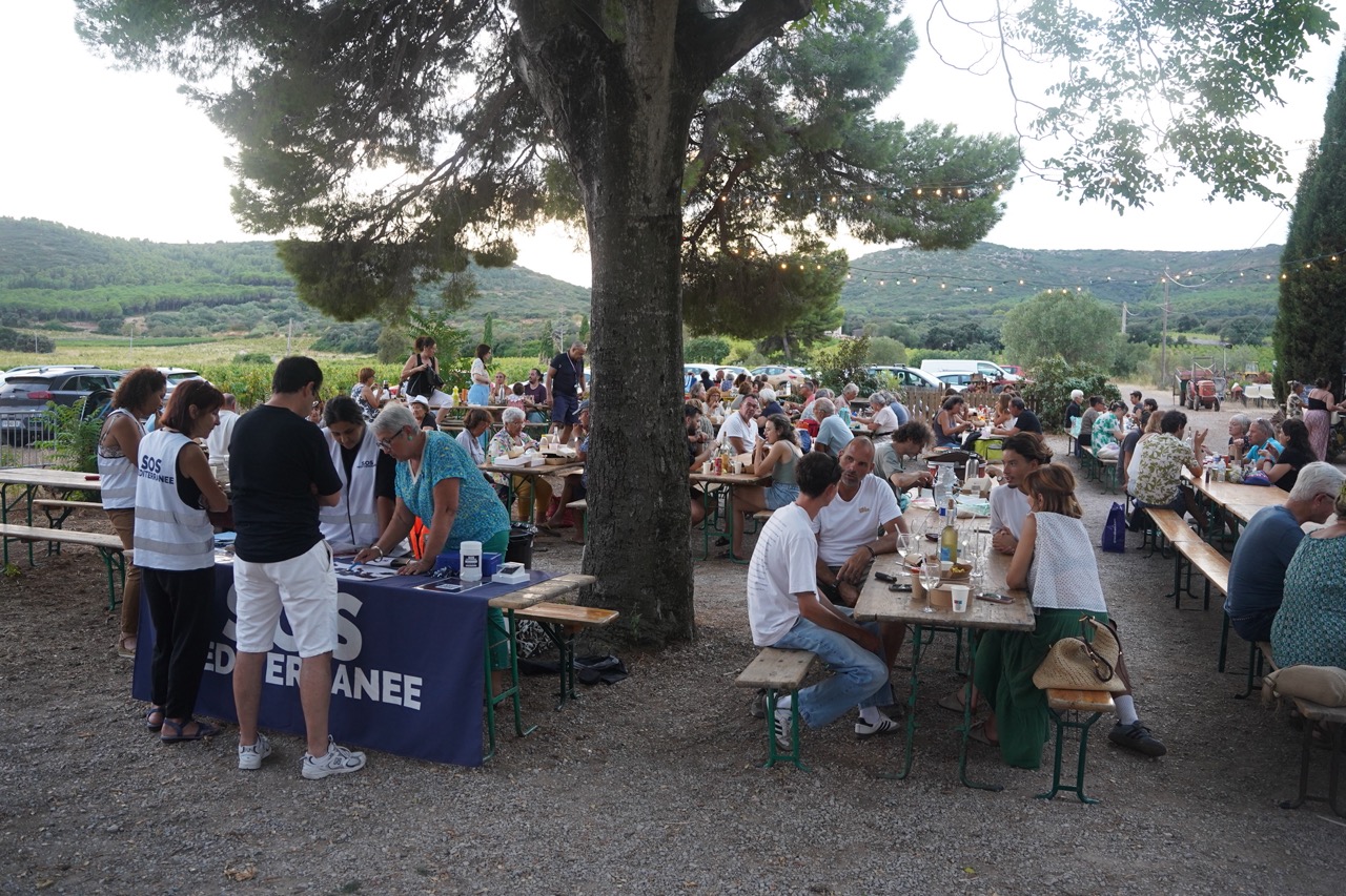 260812_EMMUSCADES-DOMAINE-DE-LA-PLAINE_BERARD_13 - Grande