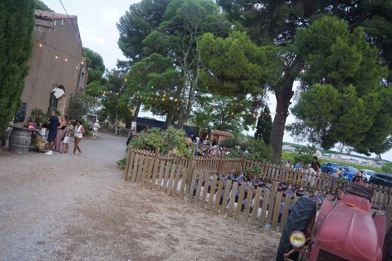 260812_EMMUSCADES-DOMAINE-DE-LA-PLAINE_BERARD_18 - Grande