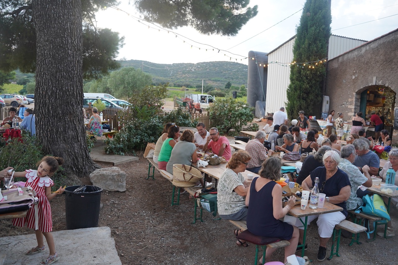 260812_EMMUSCADES-DOMAINE-DE-LA-PLAINE_BERARD_22 - Grande