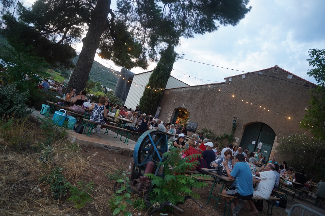 260812_EMMUSCADES-DOMAINE-DE-LA-PLAINE_BERARD_34 - Grande
