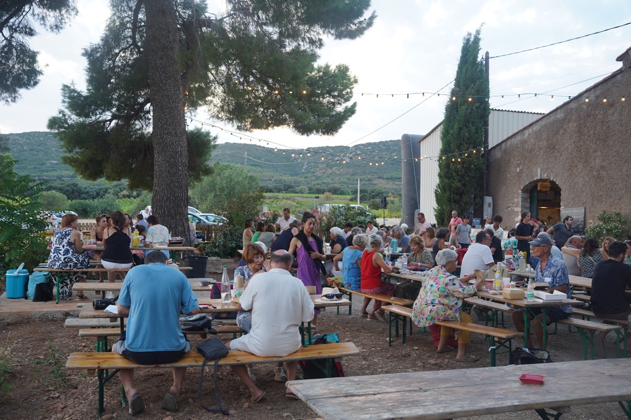 260812_EMMUSCADES-DOMAINE-DE-LA-PLAINE_BERARD_5 - Grande